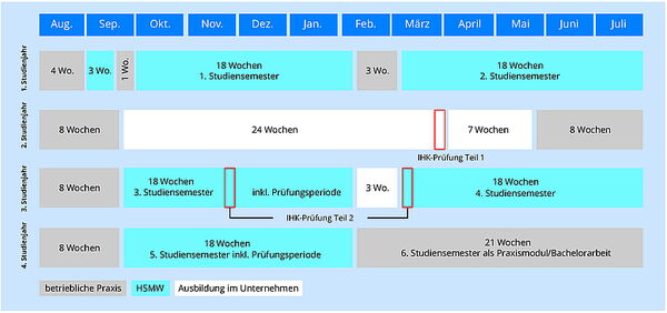 Grafik Studienablauf